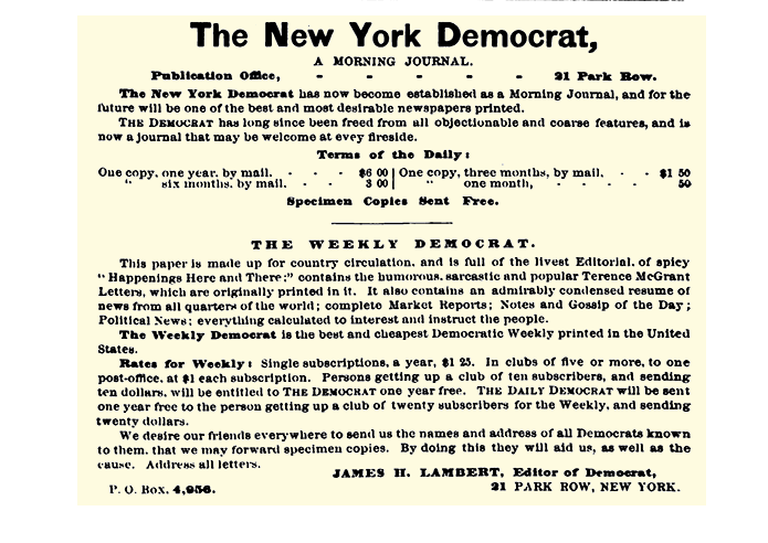 The New York Democrat Rowell ad